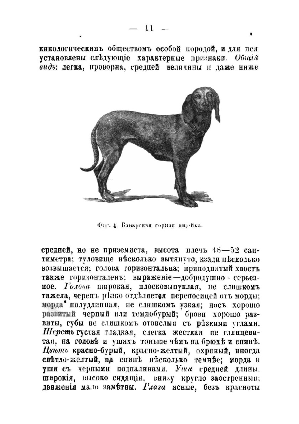 Породы собак | Крихлер Франц