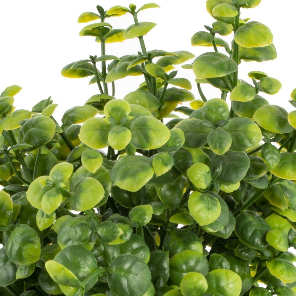 GAEM Цветочная композиция, L8 W8 H23 см