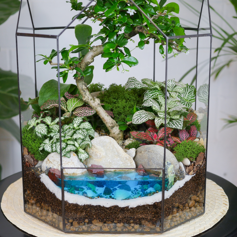 Готовый флорариум бонсай Кармона Бонсариум XL с озером