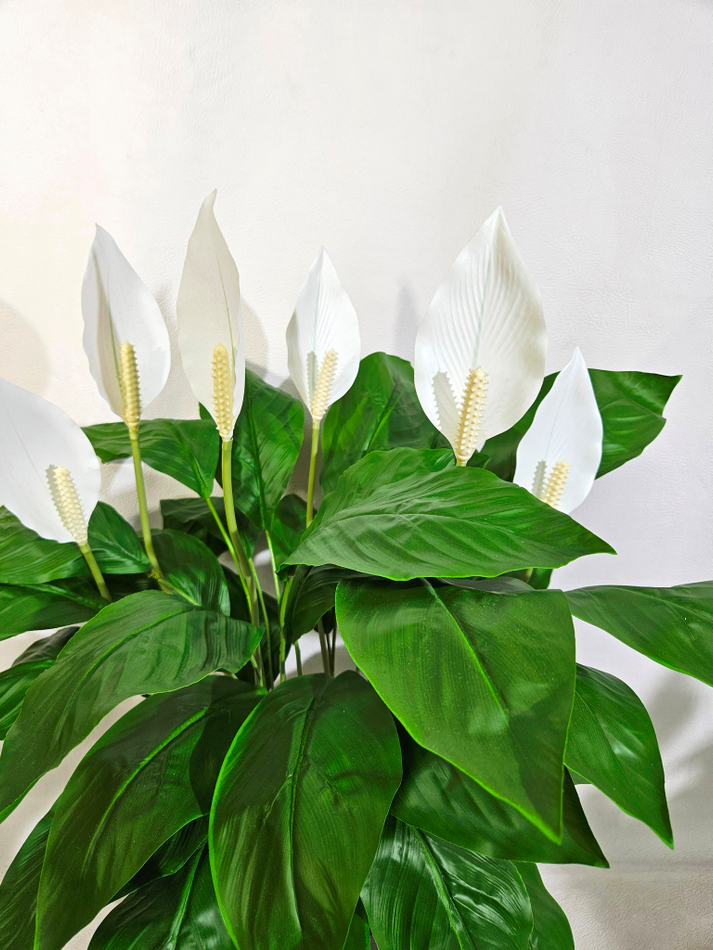 Искусственные цветы Спатифиллум белый в стильном кашпо