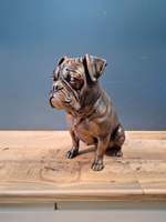 Boxer
