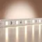 Светодиодная лента Базовая 12В 2835 4,8Вт/м 4000K 5м IP 20 201163 Led Strip 201163