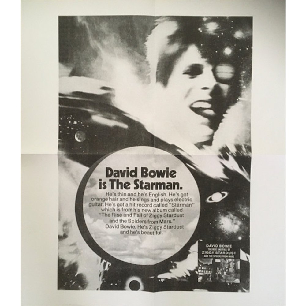 David Bowie / The Rise And Fall Of Ziggy Stardust And The Spiders From Mars (Picture Disc)(LP)