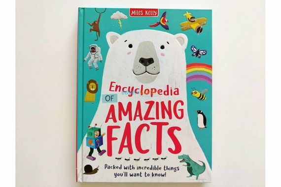 Encyclopedia Of Amazing