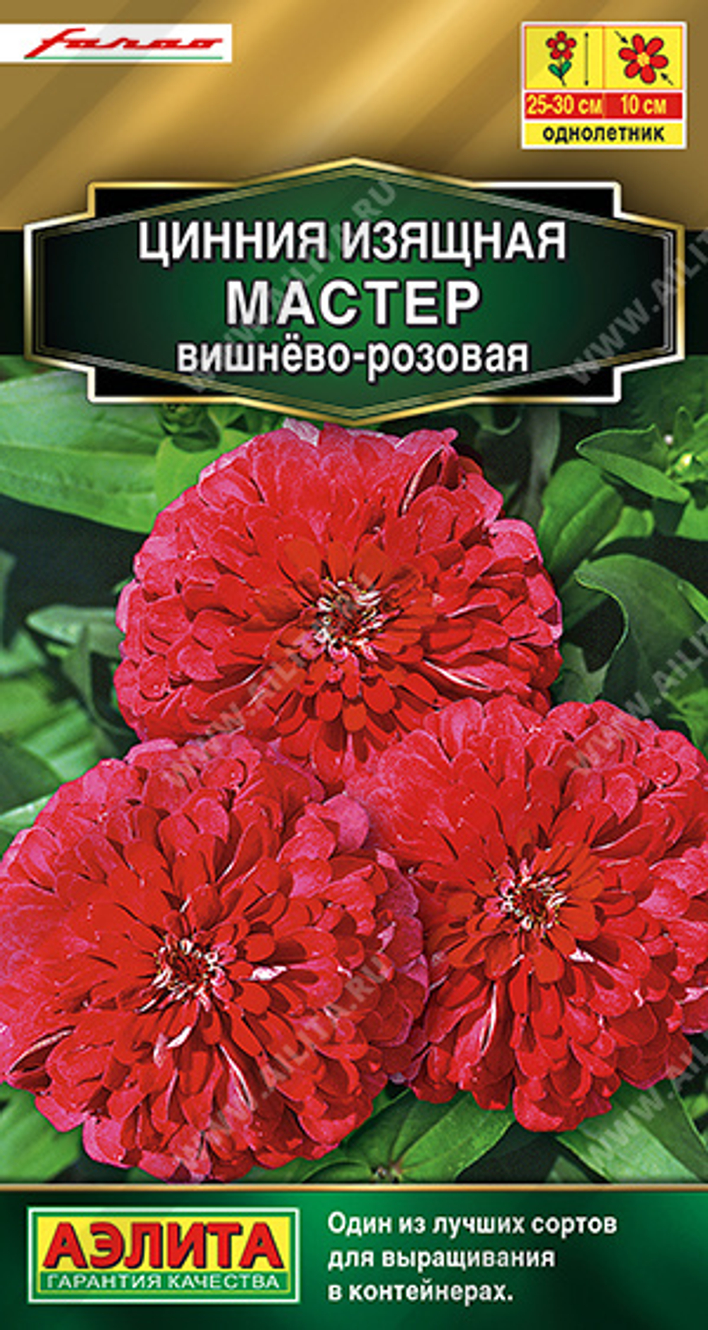 Циния Мастер вишнево-розовая 12шт Аэлита