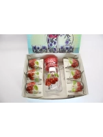 Набор для прохладительных напитков