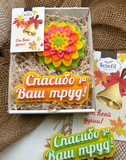 «Спасибо за Ваш труд» подарок