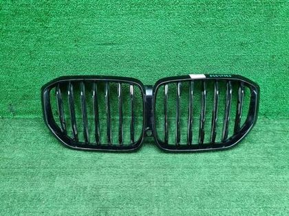 Решетка радиатора BMW X5 G05 (2018-2023)