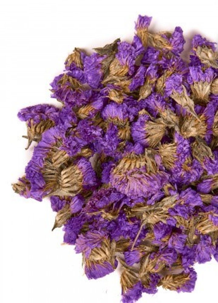 Незабудка цветы сушеные