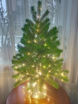 Ель искусственная Царь елка Русская красавица премиум 90 см РКП-90