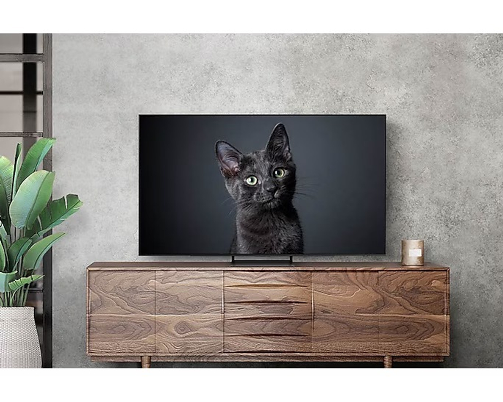 Телевизор Samsung QE65S90CAT