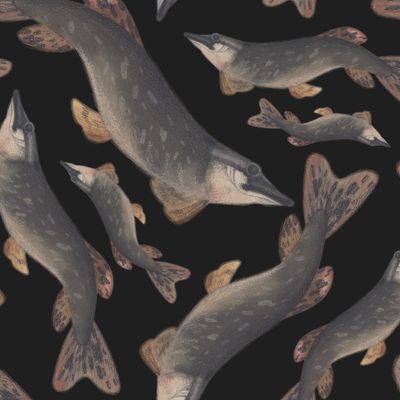 Щука на черном фоне