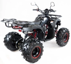Квадроцикл MOTAX ATV Grizlik 7 110 cc