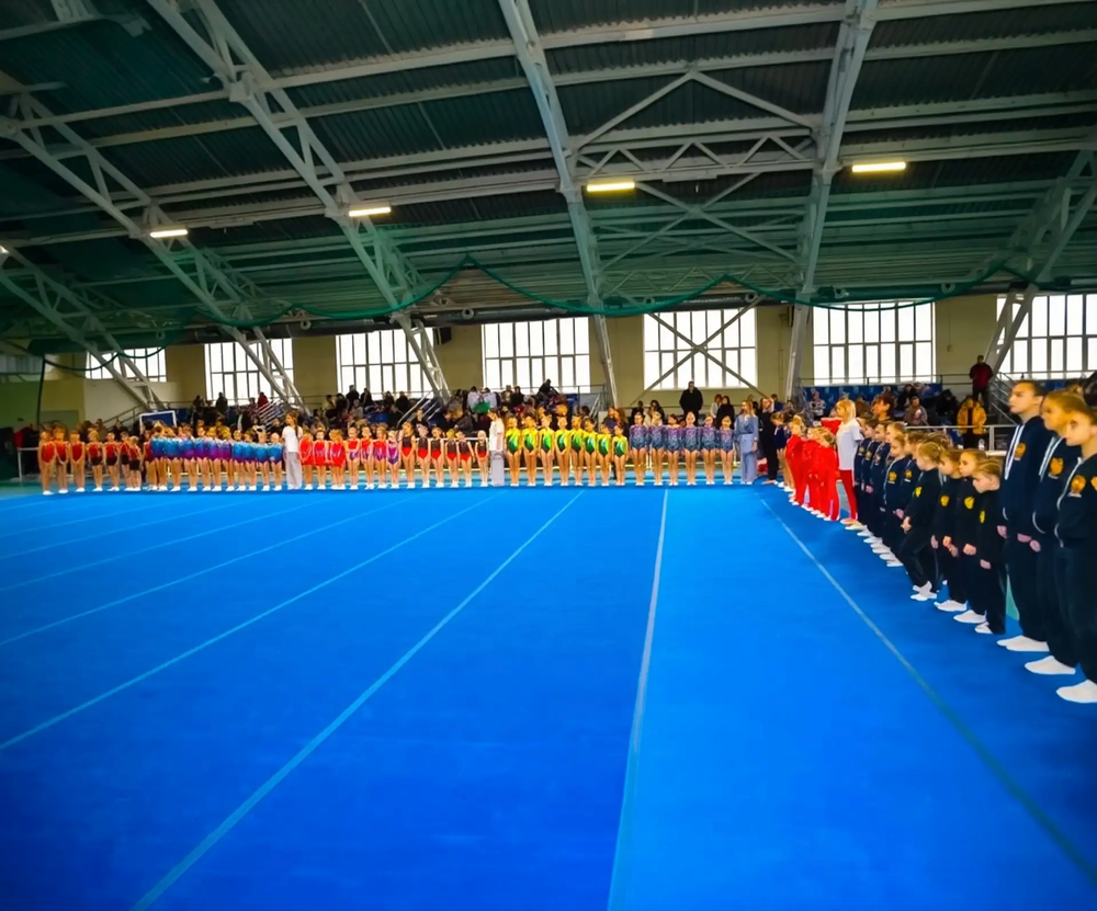 Ковер гимнастический "Профессионал", ворсовый - 40мм. - голубой