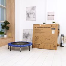 Батут DFC Kinertial 48&#39;&#39; синий