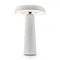 Аккумуляторный светильник Freya FR6109TL-L4W