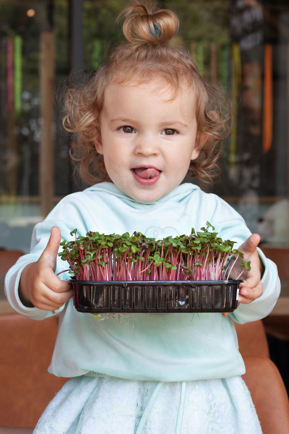 Агровата для выращивания микрозелени набор 50 шт / 16,5*10*1,5 см /субстрат для выращивания микрозелени и растений