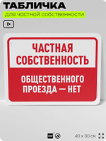 Табличка для частной территории "Частная собственность, общественного проезда нет", на дом, для участка, организаций, предупреждающая, 40х30 см, Silver Plane x Айдентика Технолоджи