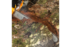 Бензиновая цепная пила Denzel DGS-4516