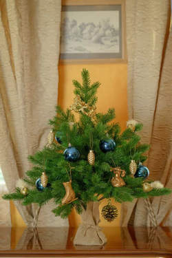 Ель Царь Елка Астерия Премиум 60см 3D