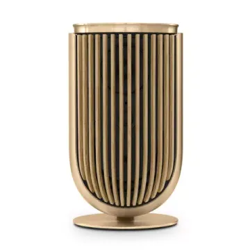 Bang & Olufsen Beolab 8 Gold Tone/Oak, TS