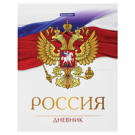 Дневник 5-11 класс, 48 л., твердый, BRAUBERG, глянцевая ламинация, с подсказом, "Символика 2", 106067