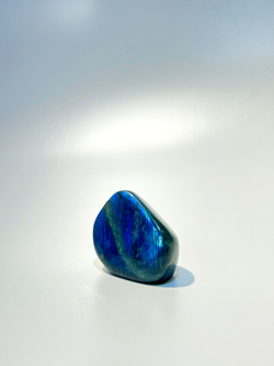 Срез Лабрадора S