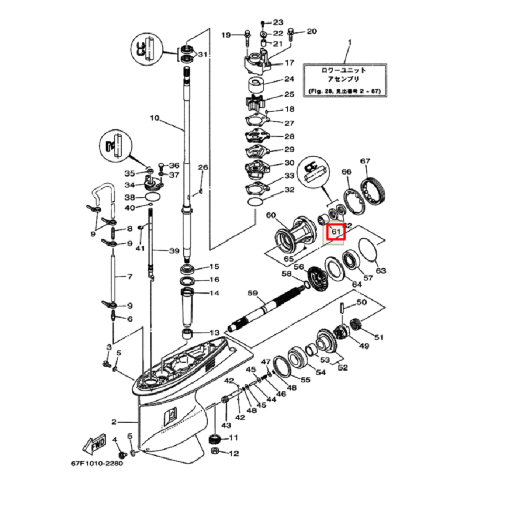 Подшипник гребного вала редуктора Kacawa Yamaha NTN