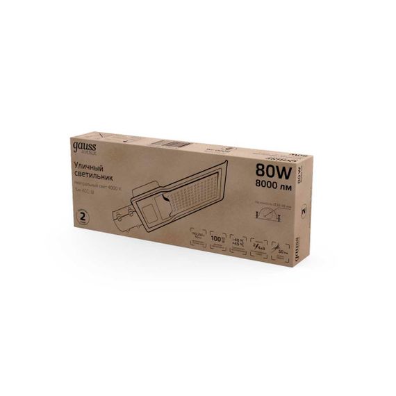 Уличный светодиодный светильник Gauss 629534280
