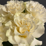 №152 Французские розы 5 шт