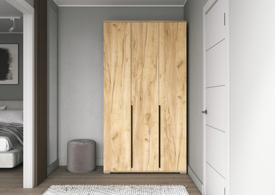 Шкаф ШР-3/3 дуб крафт золотистый