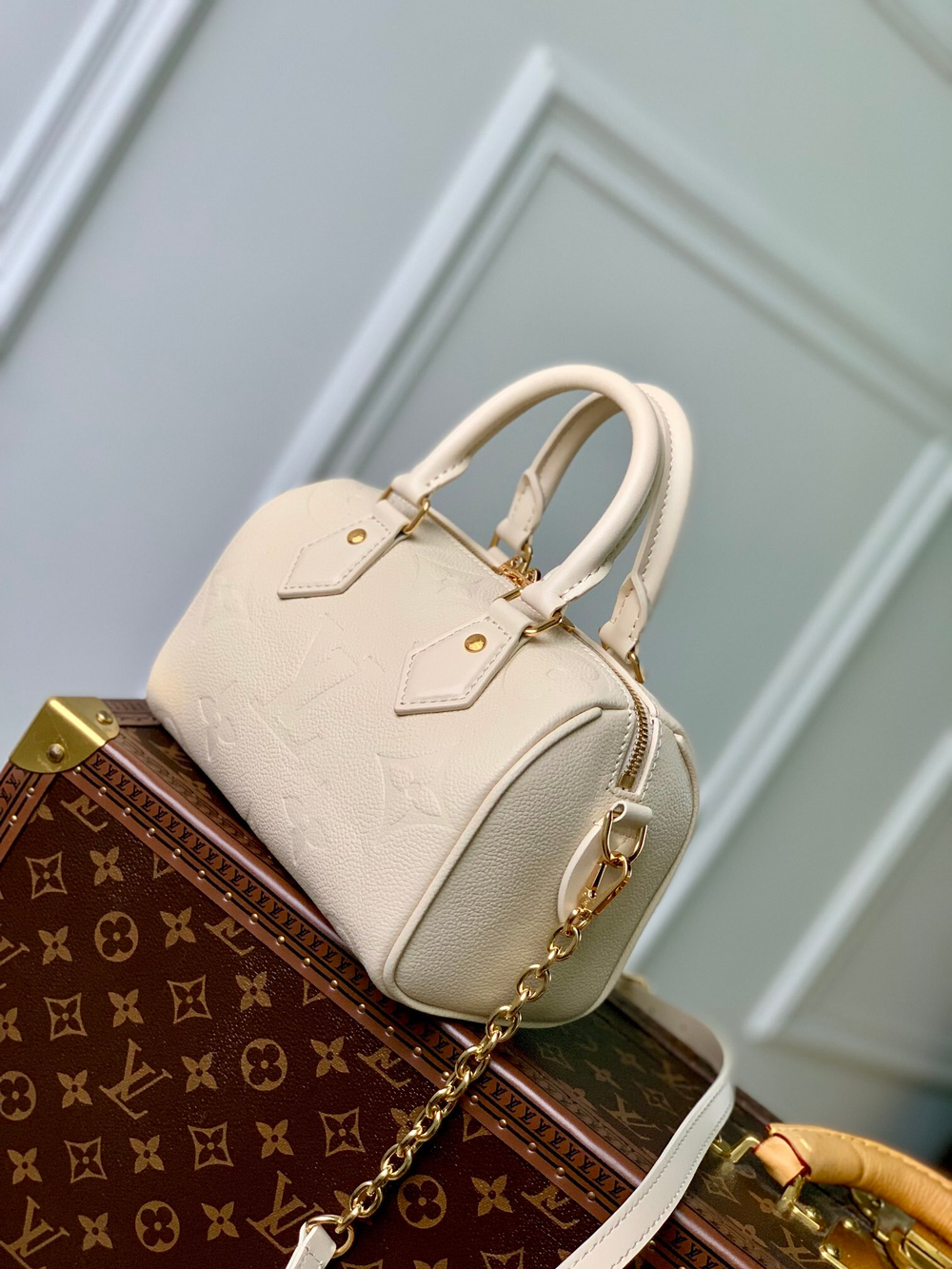 Louis Vuitton Speedy 20