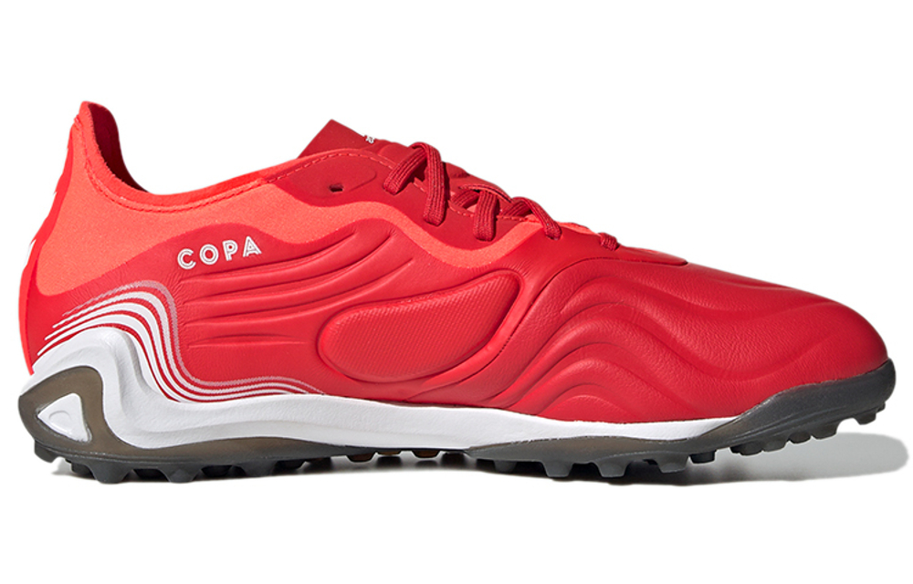 Кроссовки Adidas Copa Sense.1 Tf