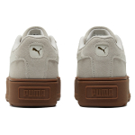 Кроссовки Puma, 384614-04