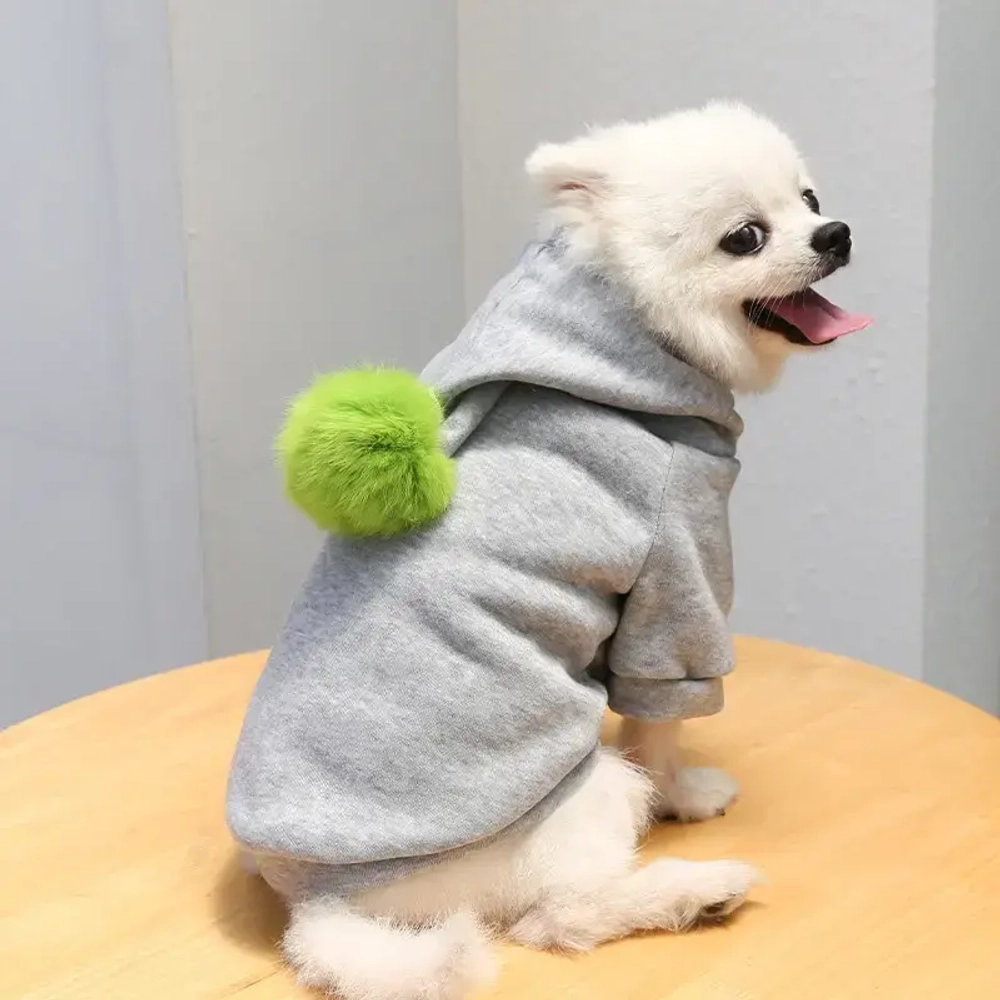 Кофта - толстовка с капюшоном для собак мелких пород «МОДНЫЙ БРО», бон бон, цвет серый, размер М (21*31*25см) Ultramarine