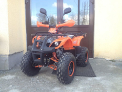 Квадроцикл ATV Termit Libre