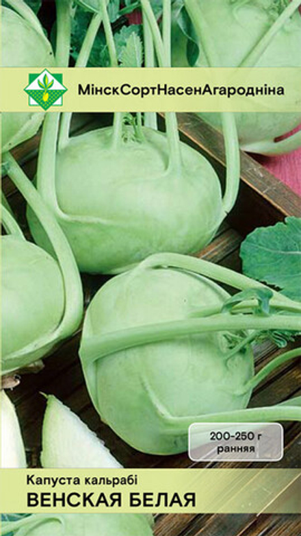 Капуста кольраби "Венская белая" 0.5г, Германия.