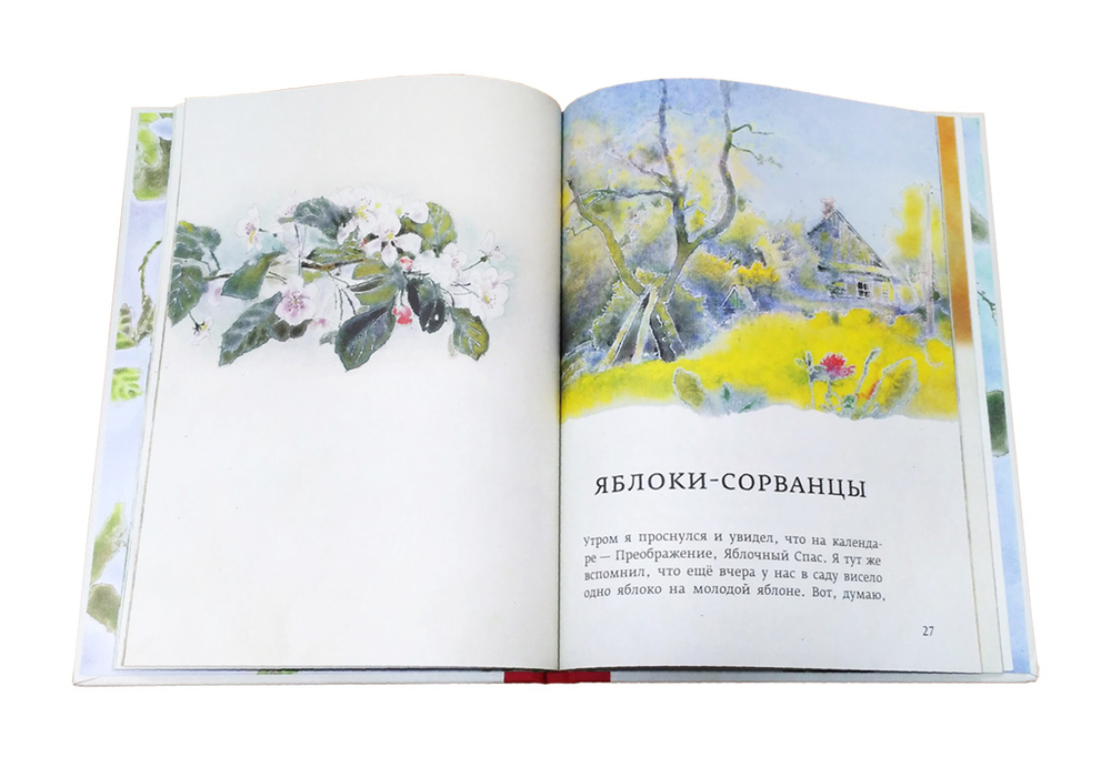 Огонек в зотолой шапочке. Рассказы для детей. Дмитрий Шеваров