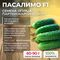 ПАСАЛИМО F1 семена огурца партенокарпического (Syngenta)