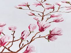 Наволочки 70х70 и 50х70 сатин люкс 475 Asabella