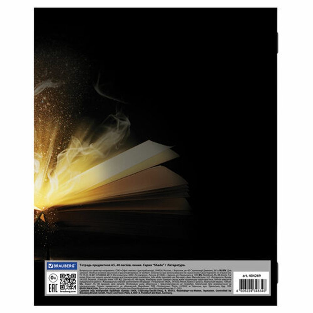 Тетрадь предметная "SHADE" 48 л., глянцевый лак, ЛИТЕРАТУРА, линия, BRAUBERG, 404269