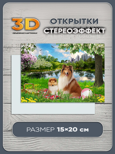 Стереооткрытка с 3D-эффектом "Собаки колли"