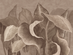 Коллекция SUMMERTIME