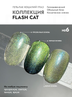 Гель-лак FLASH CAT 6
