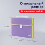 Папка-портфель пластиковая BRAUBERG "JOY" А4 (330х245х35 мм) 13 отделений с окантовкой фиолетовая (2 штуки в упаковке)