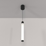 Подвесной светильник Maytoni Ray P022PL-L10B