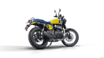 Royal Enfield Bear 650 Wild Honey (Mid)