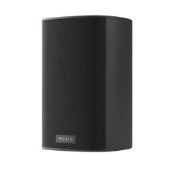 Piega Ace 30 Wireless RX Black