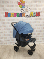 Коляска прогулочная Rant Basic Vega Blue