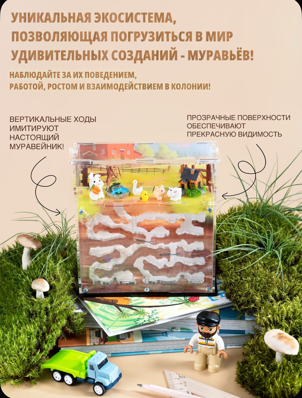 Муравьиная ферма с муравьями в подарок "Ранчо"